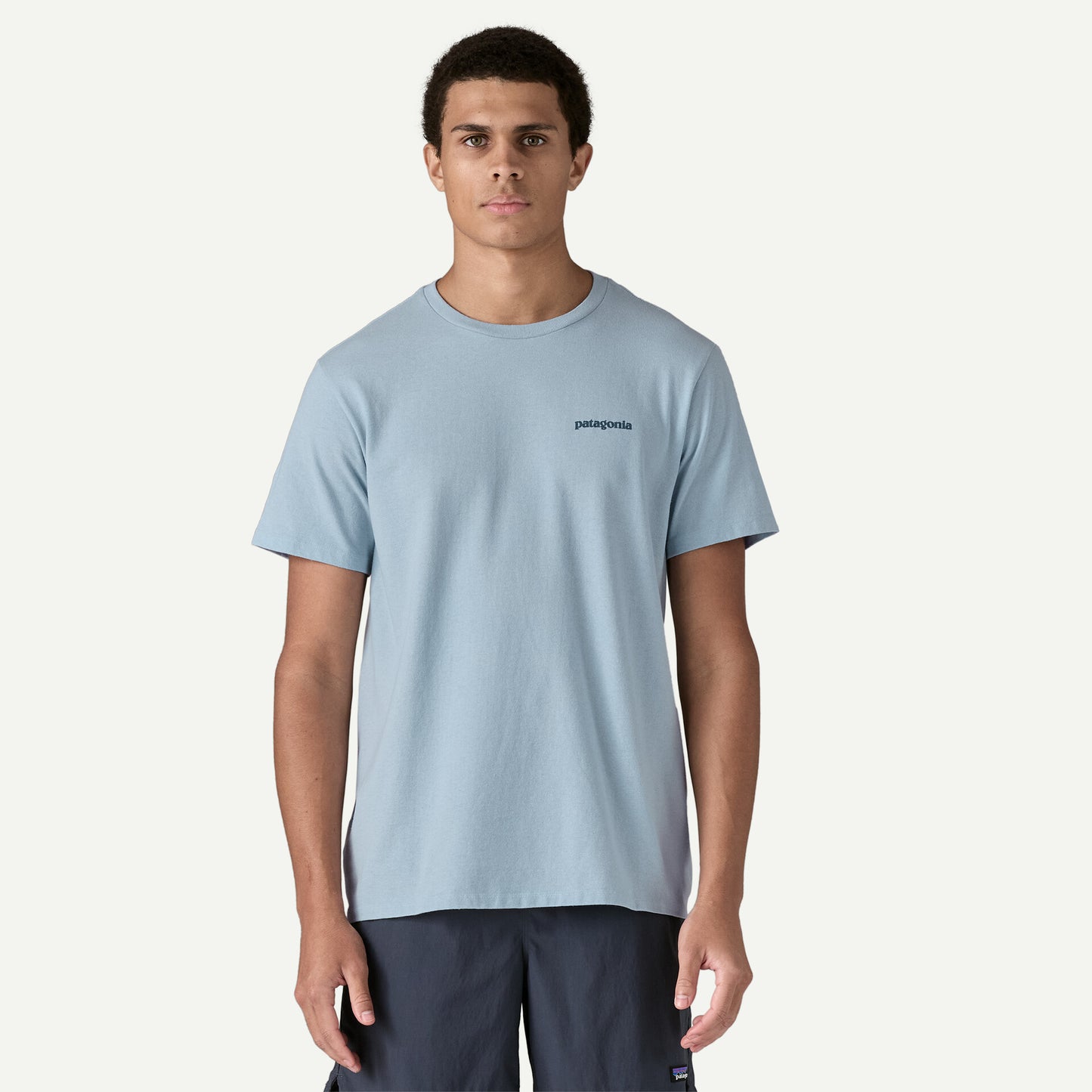 PATAGONIA Fitz Roy Icon Responsibili-Tee in LIGHT BLUE