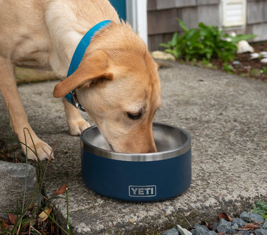 yeti dog water bowl food water