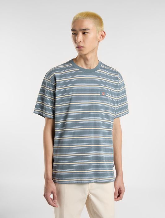 DICKIES Lewistown Stripe T-Shirt in STORMY BLUE