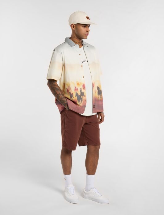 DICKIES Running Wild Short Sleeve Shirt in BROWN
