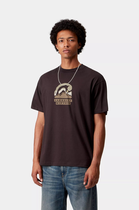 CARHARTT WIP Rising Helix T-Shirt in BROWN