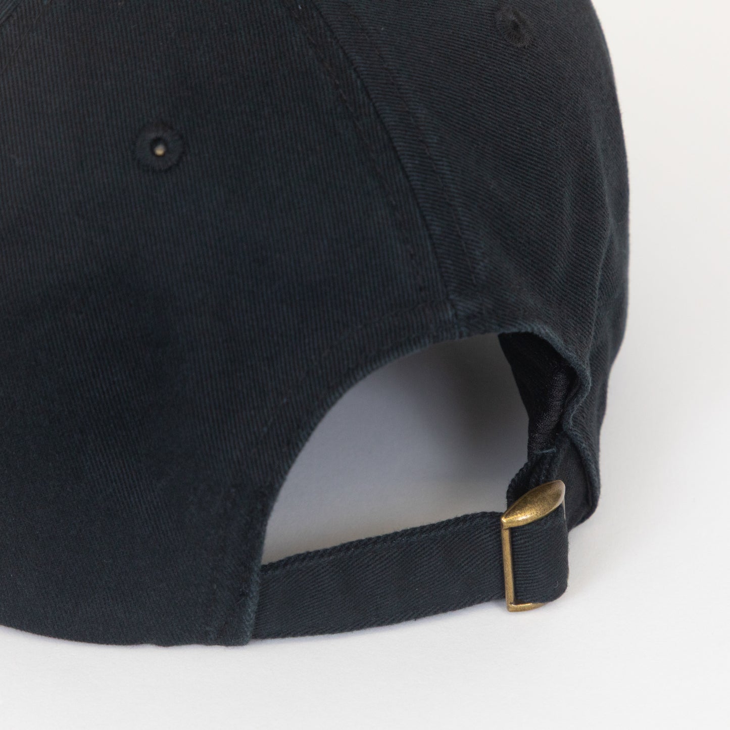 Brixton Cap Adjustable back