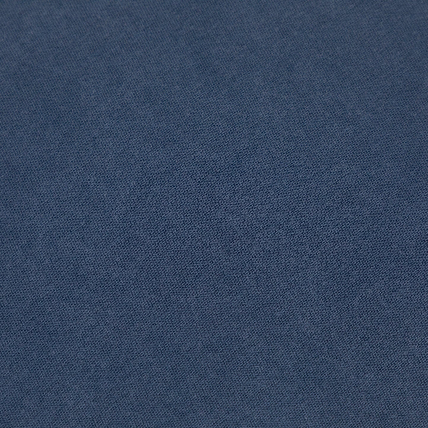 COLORFUL STANDARD Basic Oversized T-Shirt in BLUE