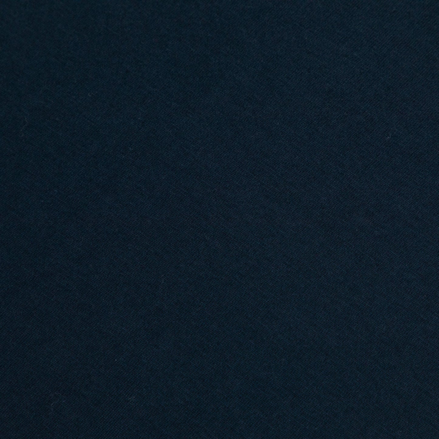 COLORFUL STANDARD Basic T-Shirt in NAVY BLUE