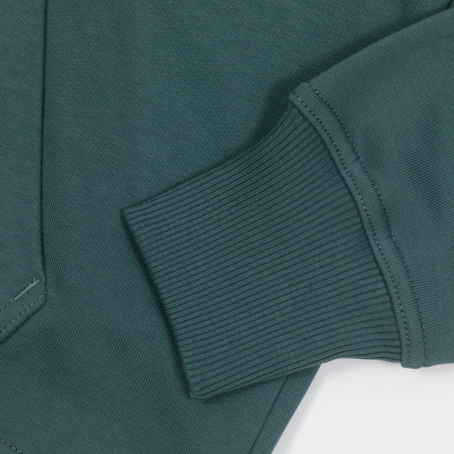 DICKIES Globe Hoodie in GREEN
