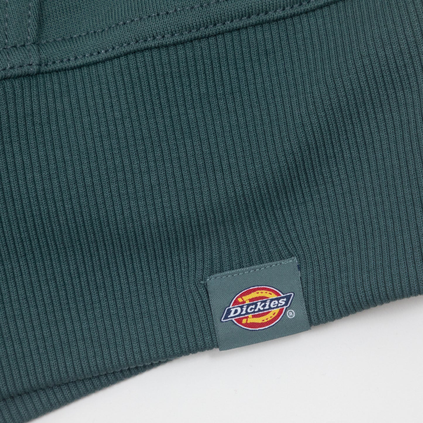 DICKIES Globe Hoodie in GREEN