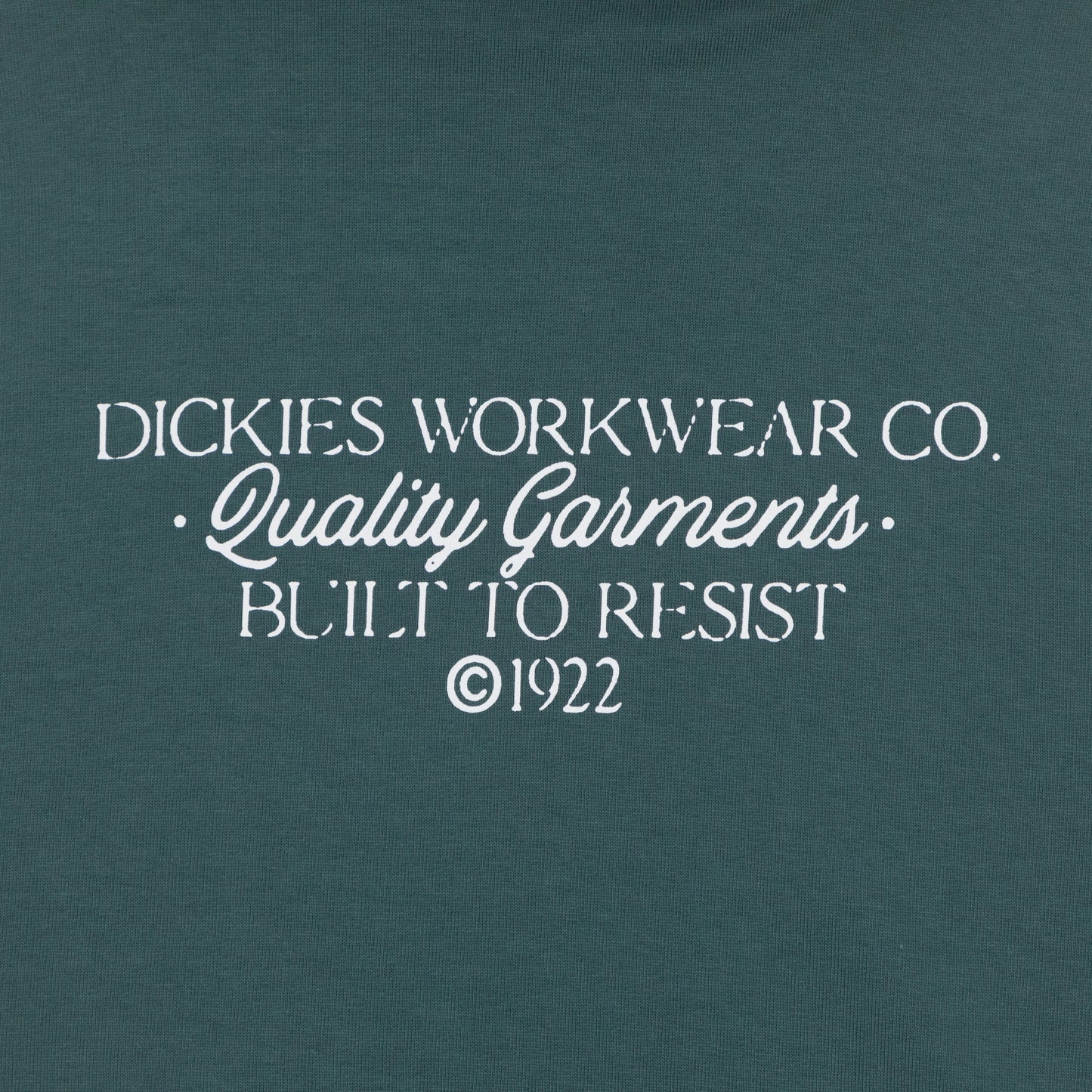 DICKIES Globe Hoodie in GREEN