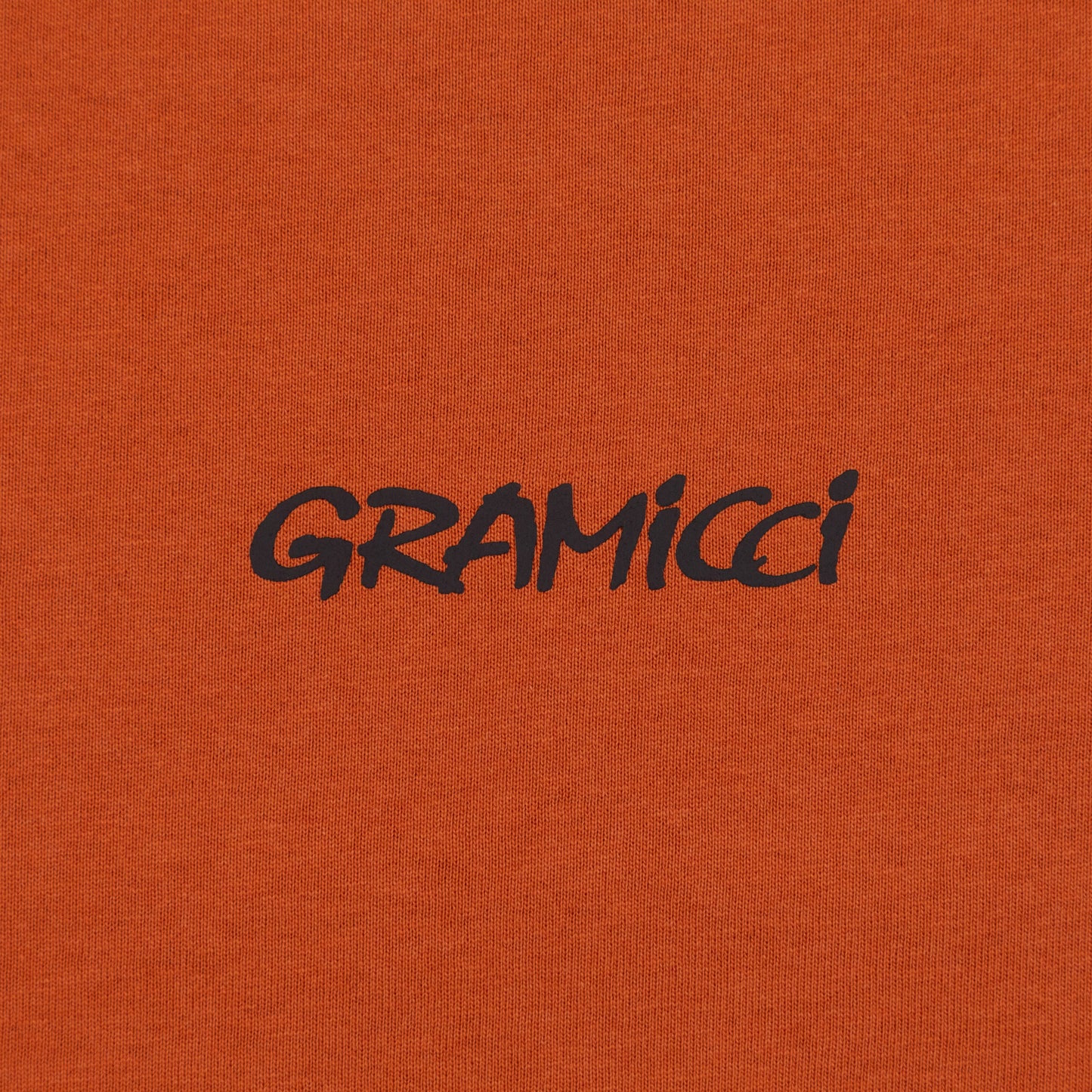 GRAMICCI Ice Axe T-Shirt in BURNT ORANGE