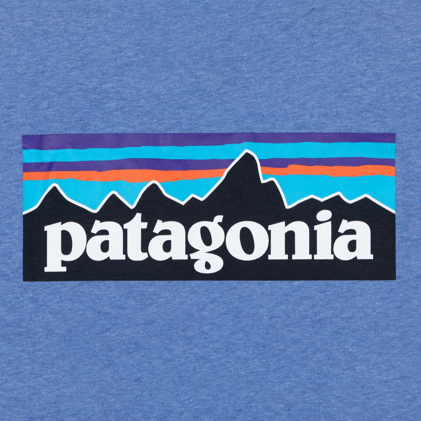 Womens PATAGONIA Logo Responsibili-Tee T-Shirt in BLUE