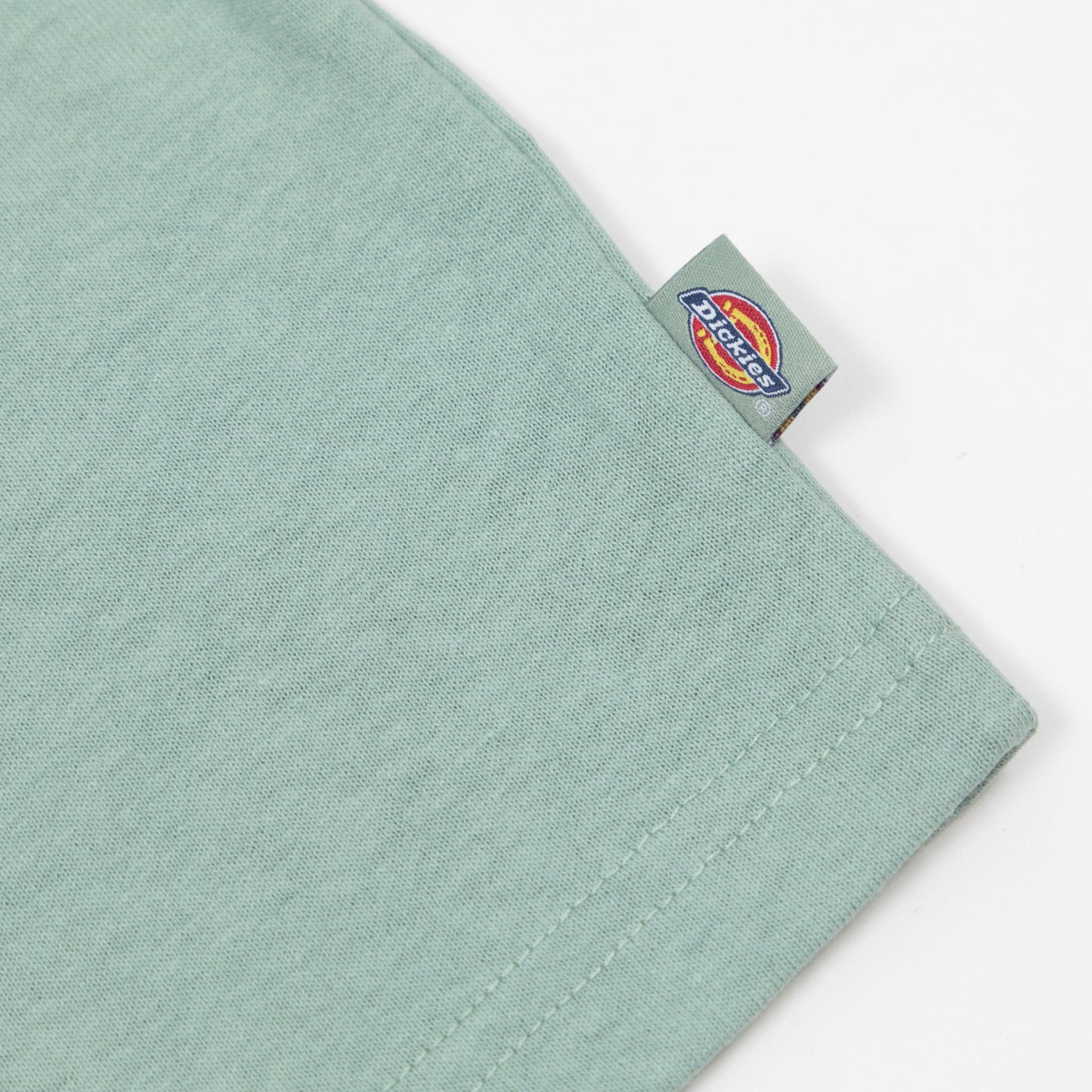 Womens DICKIES Oakport Boxy T-Shirt in ICEBERG GREEN