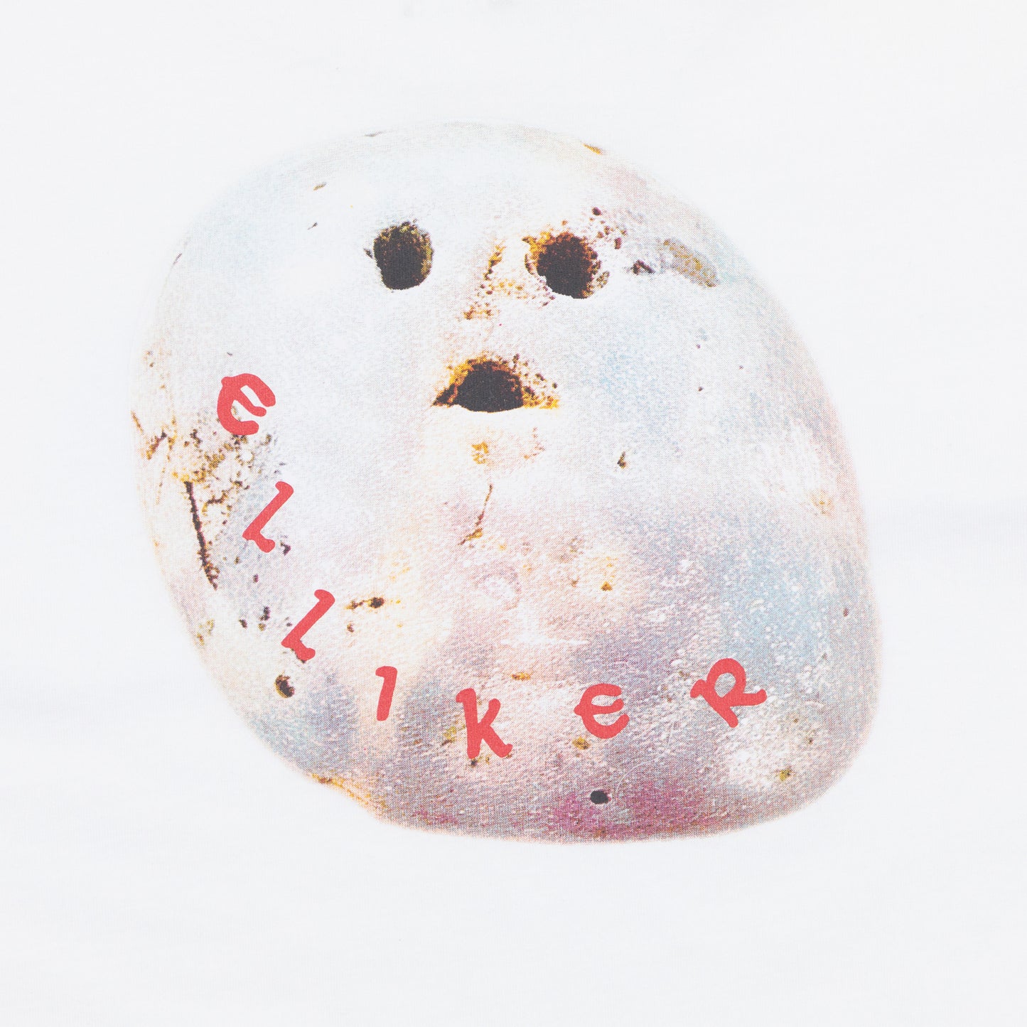 ELLIKER Rill Stone Graphic T-Shirt in WHITE