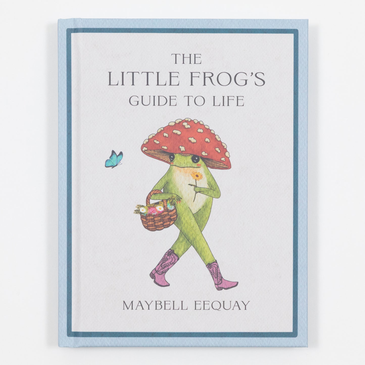 The Little Frogs Guide to Life