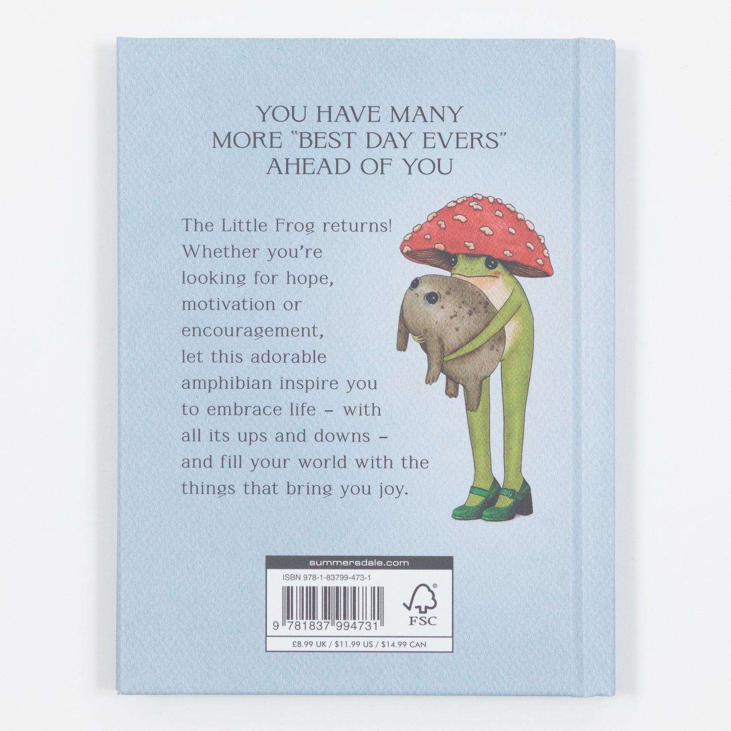 The Little Frogs Guide to Life