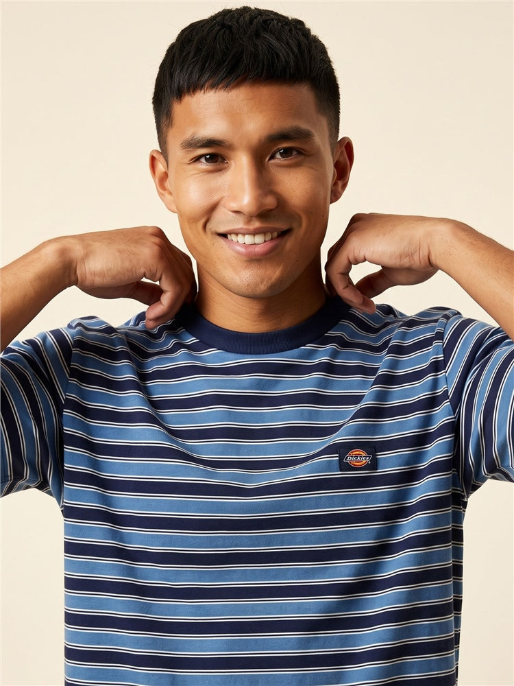 DICKIES Stripe T-Shirt in Navy Blue