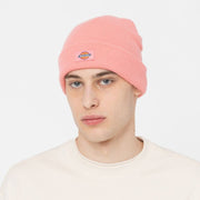 DICKIES Gibsland Beanie in PINK