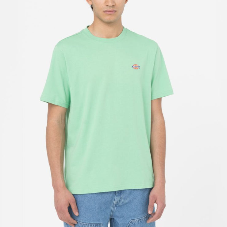 DICKIES Mapleton Short Sleeve T-Shirt in APPLEMINT