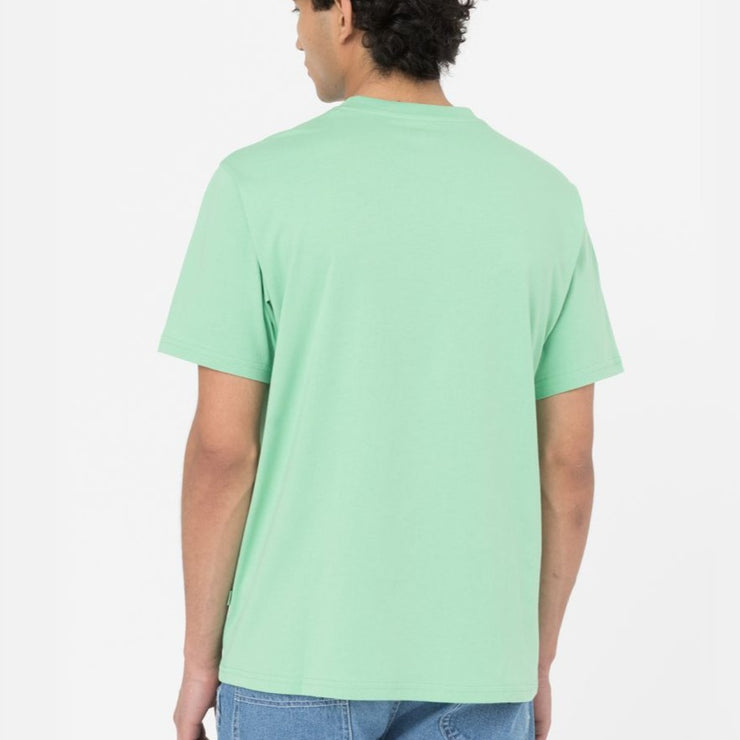 DICKIES Mapleton Short Sleeve T-Shirt in APPLEMINT