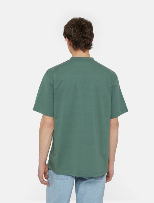DICKIES Park T-Shirt in TEAL GREEN