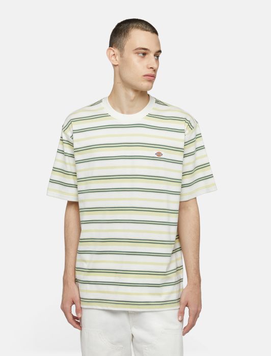 DICKIES Glade Spring Striped T-Shirt in PALE GREEN