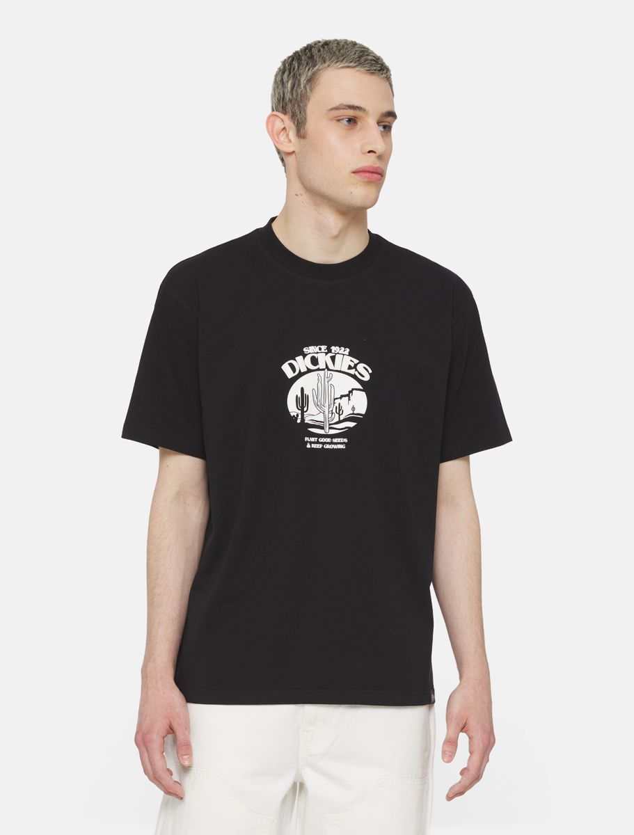 DICKIES Timberville T-shirt in BLACK