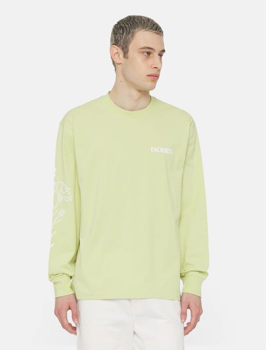 DICKIES Timberville Long Sleeve T-shirt in PALE GREEN
