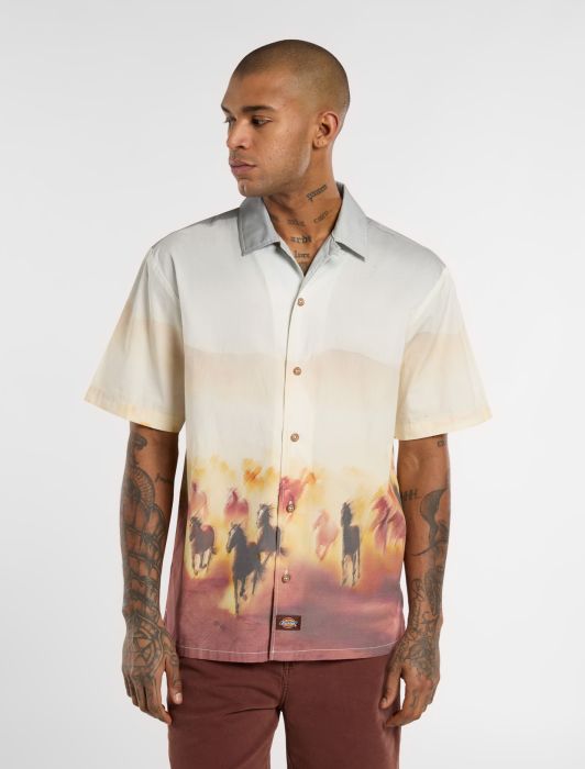 DICKIES Running Wild Short Sleeve Shirt in BROWN