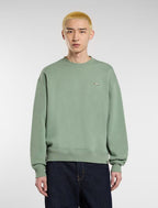 DICKIES Clancy BB Sweatshirt in SEA SPRAY GREEN