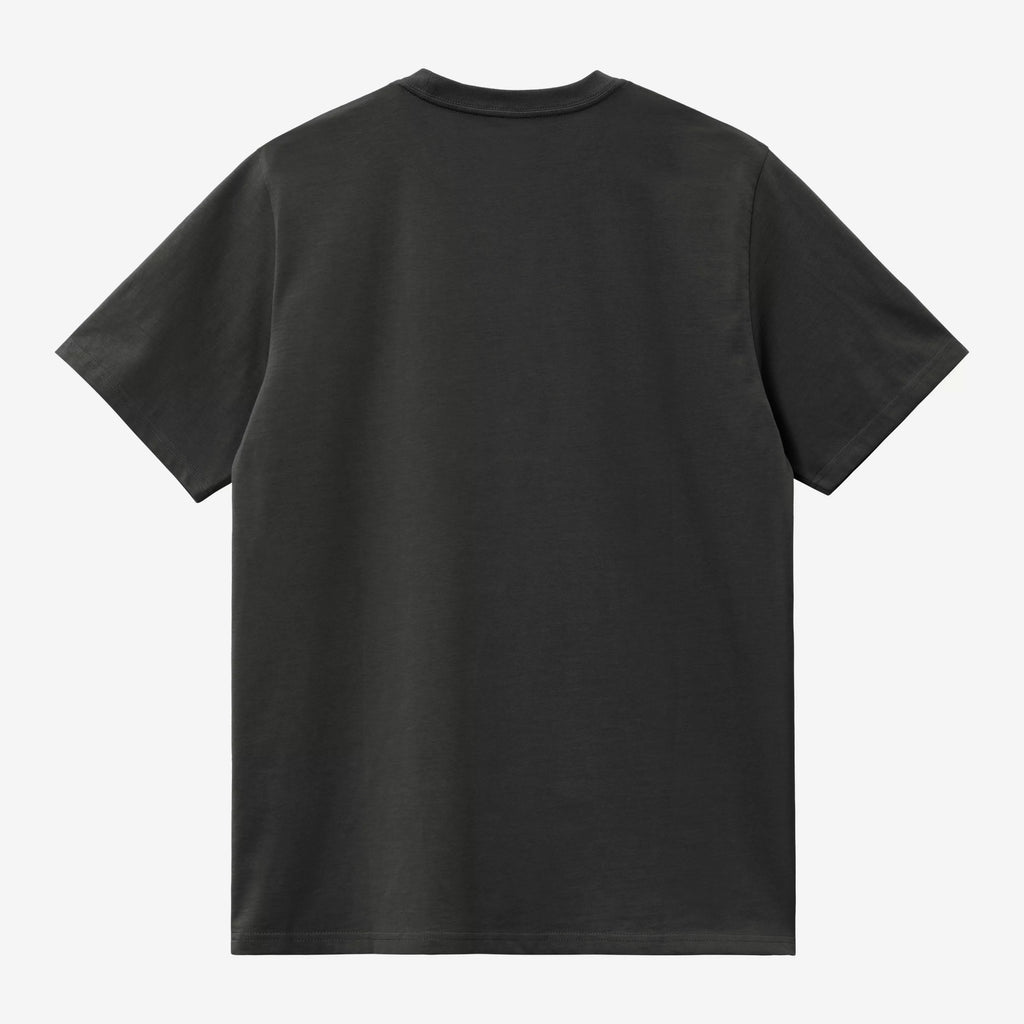CARHARTT WIP American Script T-Shirt in Raven Green