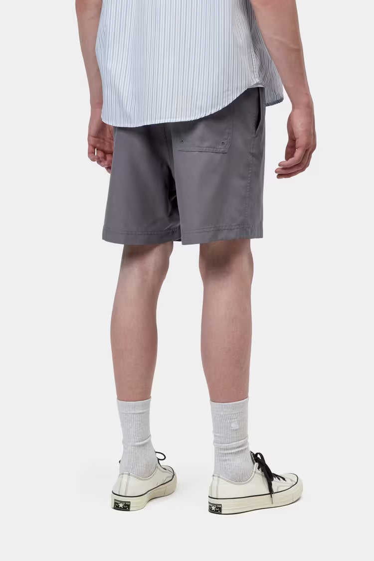 CARHARTT WIP Chase Swim Trunks in Shady Purple