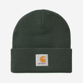 CARHARTT WIP Short Watch Beanie in Dark Scarab Green