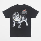 HUF 4 Dawgs Graphic T-Shirt in BLACK