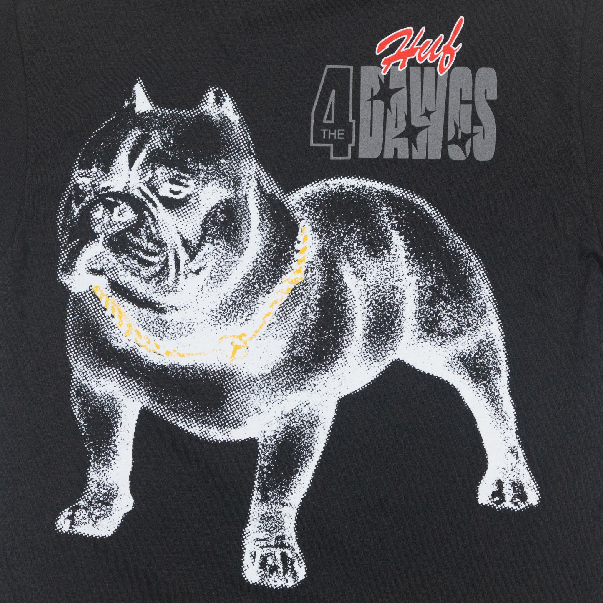 HUF 4 Dawgs Graphic T-Shirt in BLACK