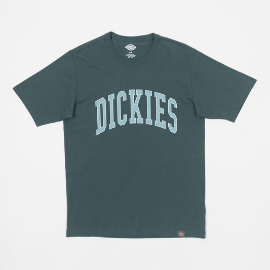 DICKIES Aitkin T-Shirt in GREEN
