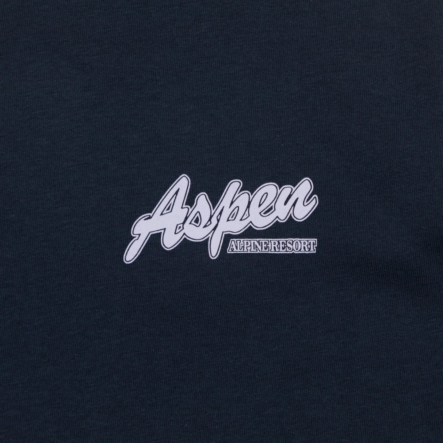 ONLY & SONS Aspen Alpine Ski Resort Sweatshirt in NAVY