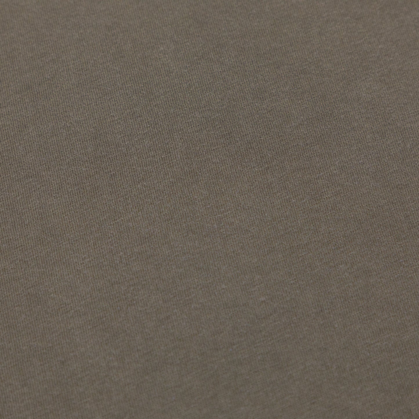 COLORFUL STANDARD Basic Oversized T-Shirt in BROWN