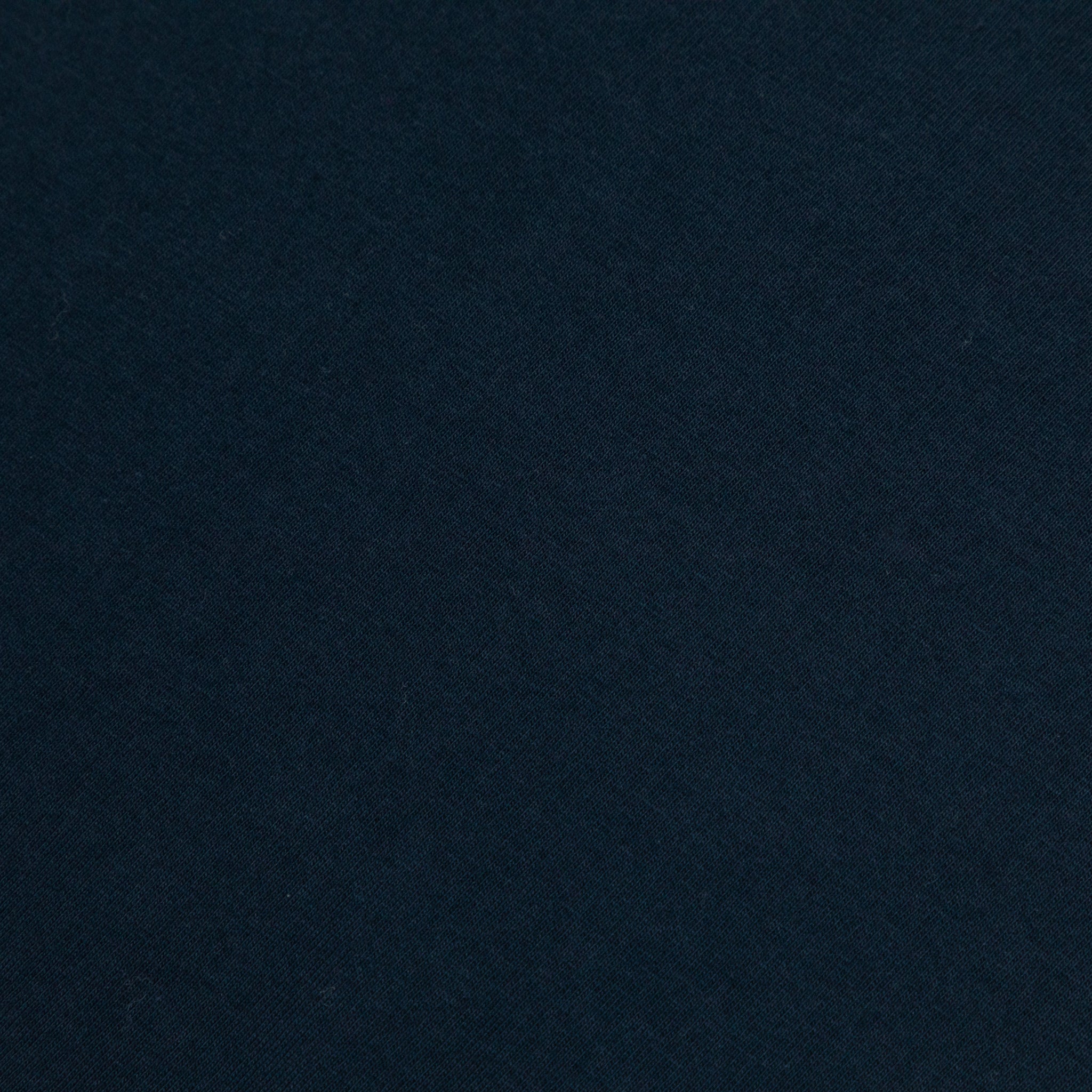 COLORFUL STANDARD Basic T-Shirt in NAVY BLUE