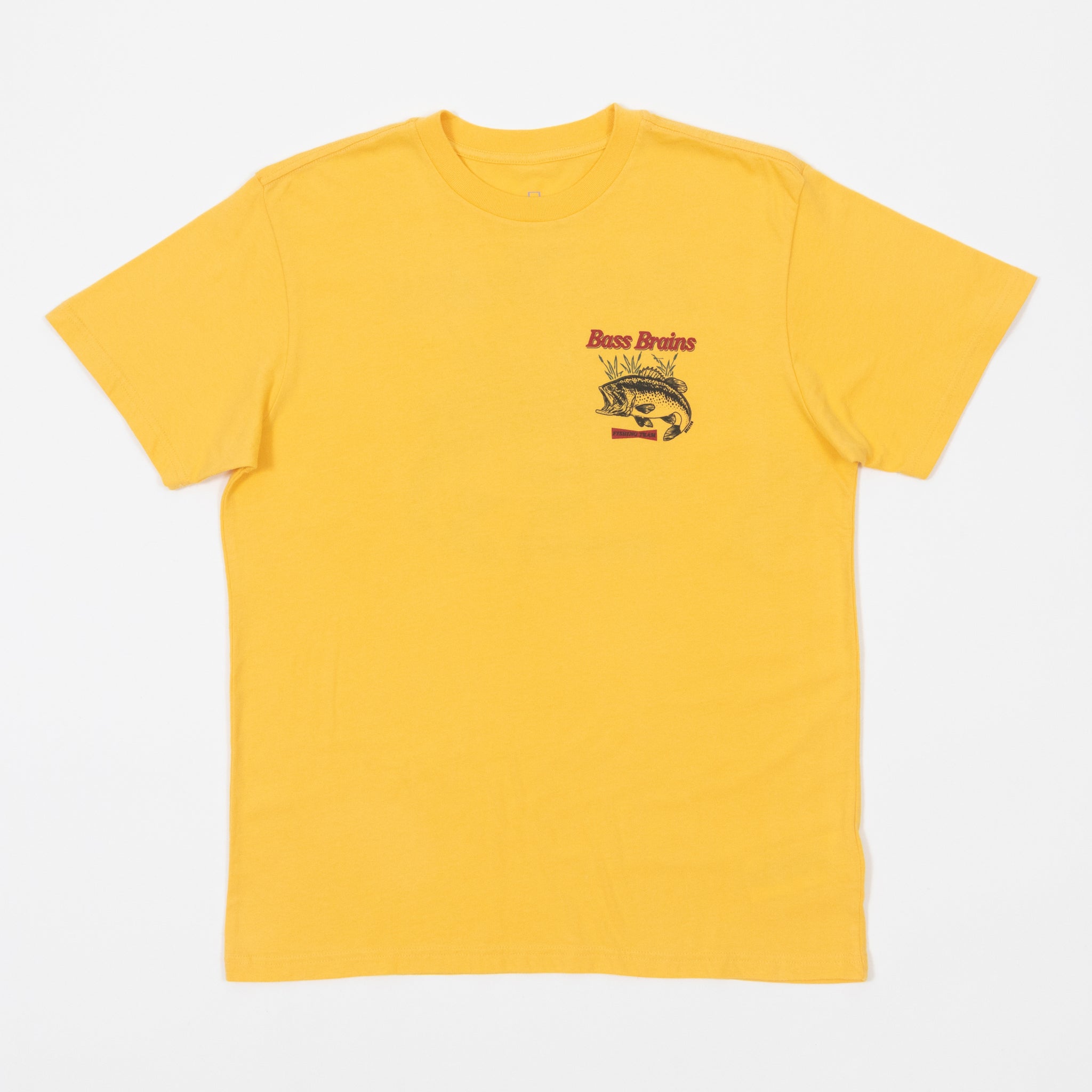 BRIXTON Bass Brains T-Shirt in YELLOW
