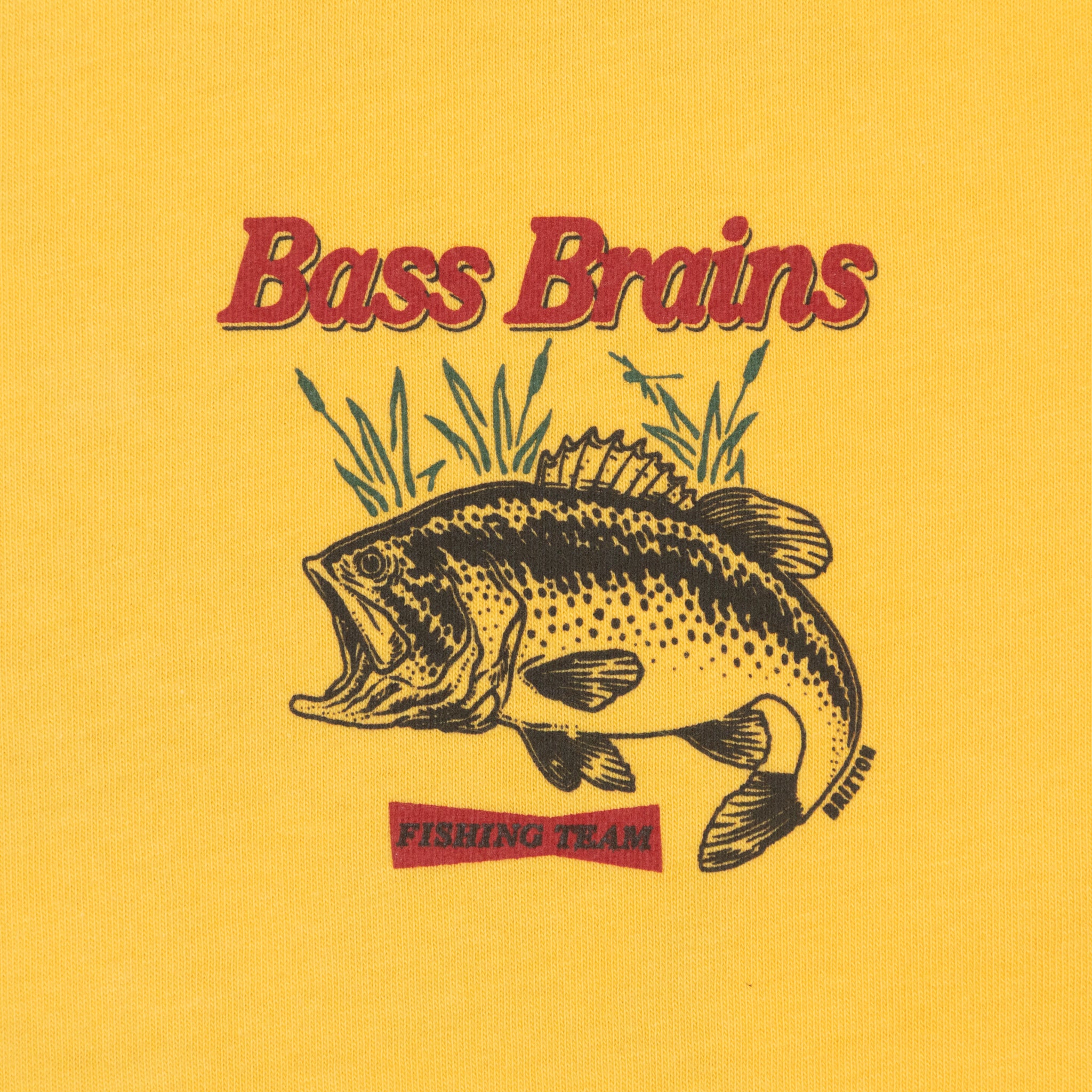 BRIXTON Bass Brains T-Shirt in YELLOW