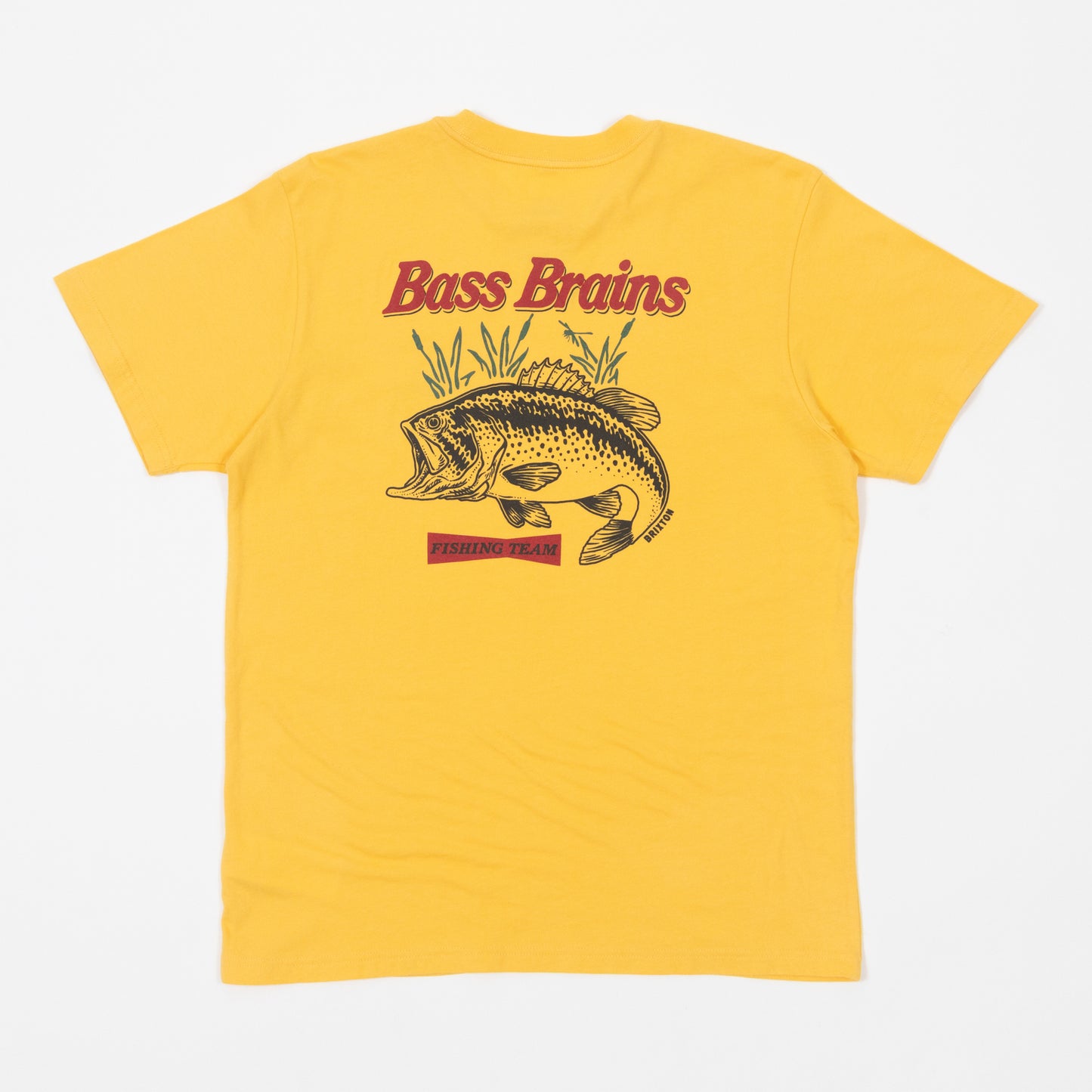 BRIXTON Bass Brains T-Shirt in YELLOW