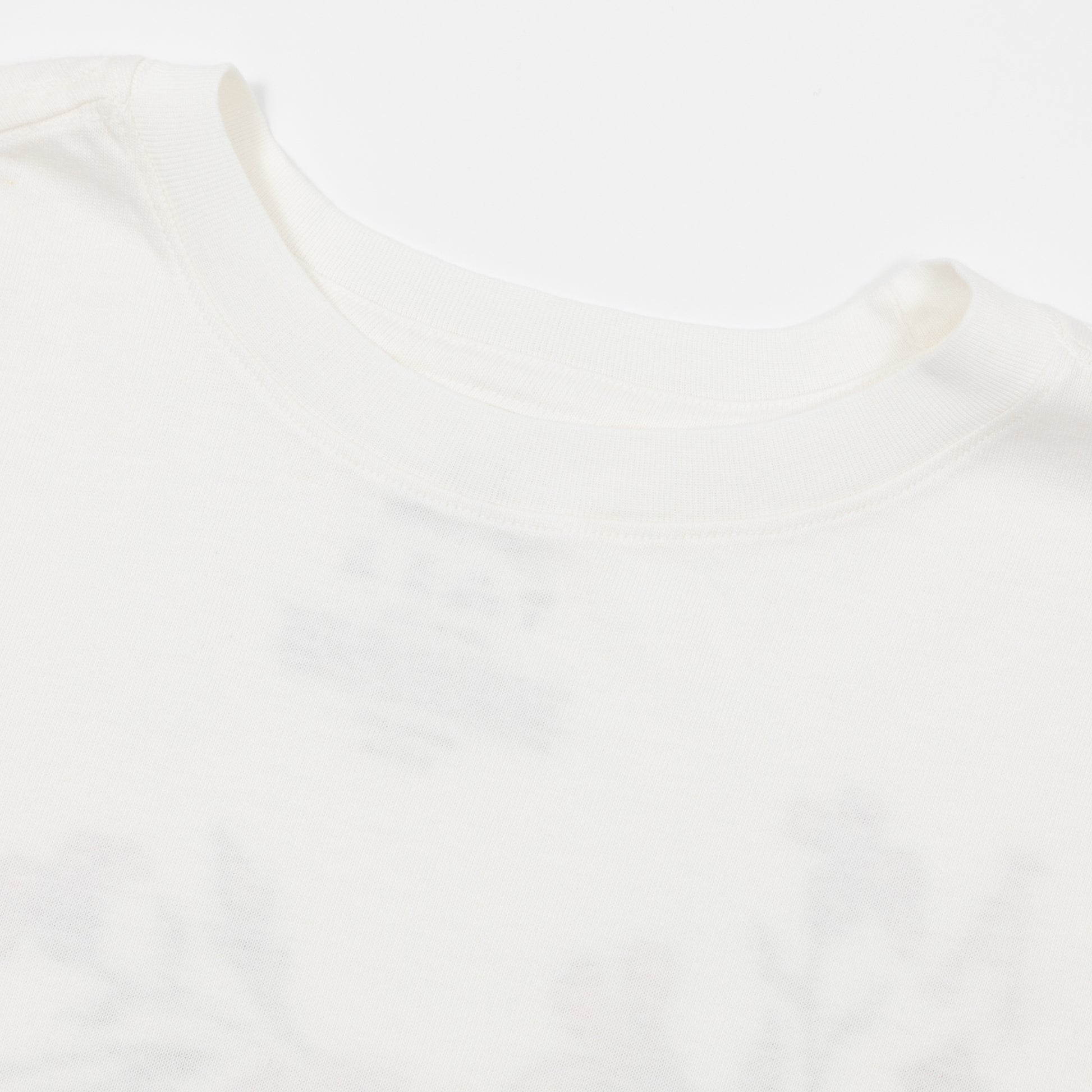 womens brixton graphic t-shirt crew neck collar
