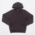 CARHARTT Hooded Chase Sweatshirt in SHALE / GOLD