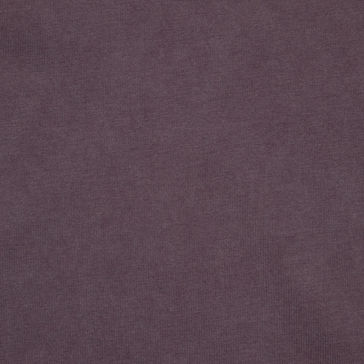 COLORFUL STANDARD Oversized T-Shirt in Faded Grape