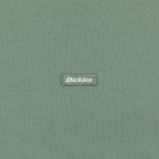 DICKIES Clancy BB Sweatshirt in SEA SPRAY GREEN