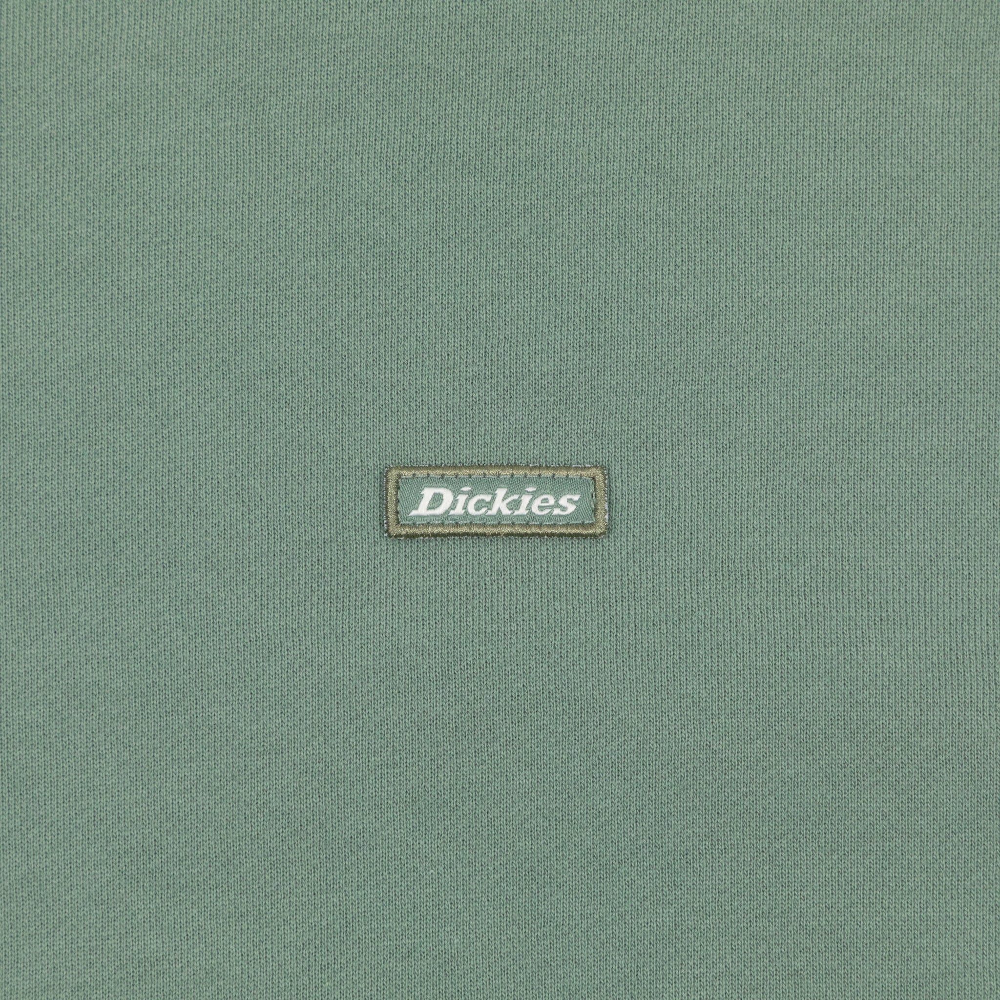 DICKIES Clancy BB Sweatshirt in SEA SPRAY GREEN