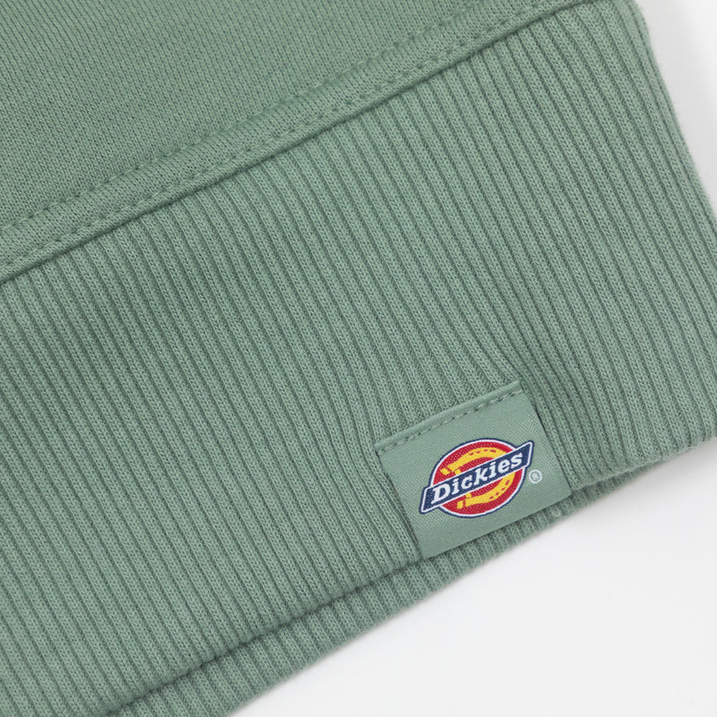 DICKIES Clancy BB Sweatshirt in SEA SPRAY GREEN