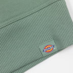 DICKIES Clancy BB Sweatshirt in SEA SPRAY GREEN