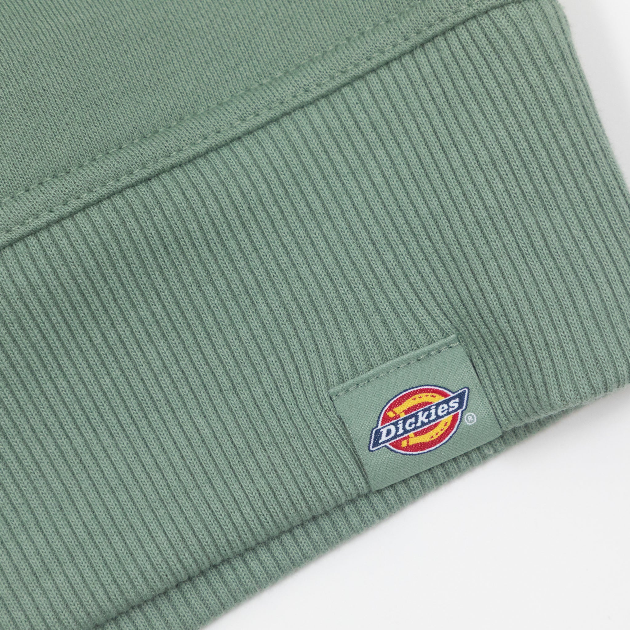 DICKIES Clancy BB Sweatshirt in SEA SPRAY GREEN
