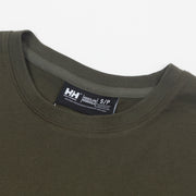 HELLY HANSEN Core Graphic T-Shirt in GREEN