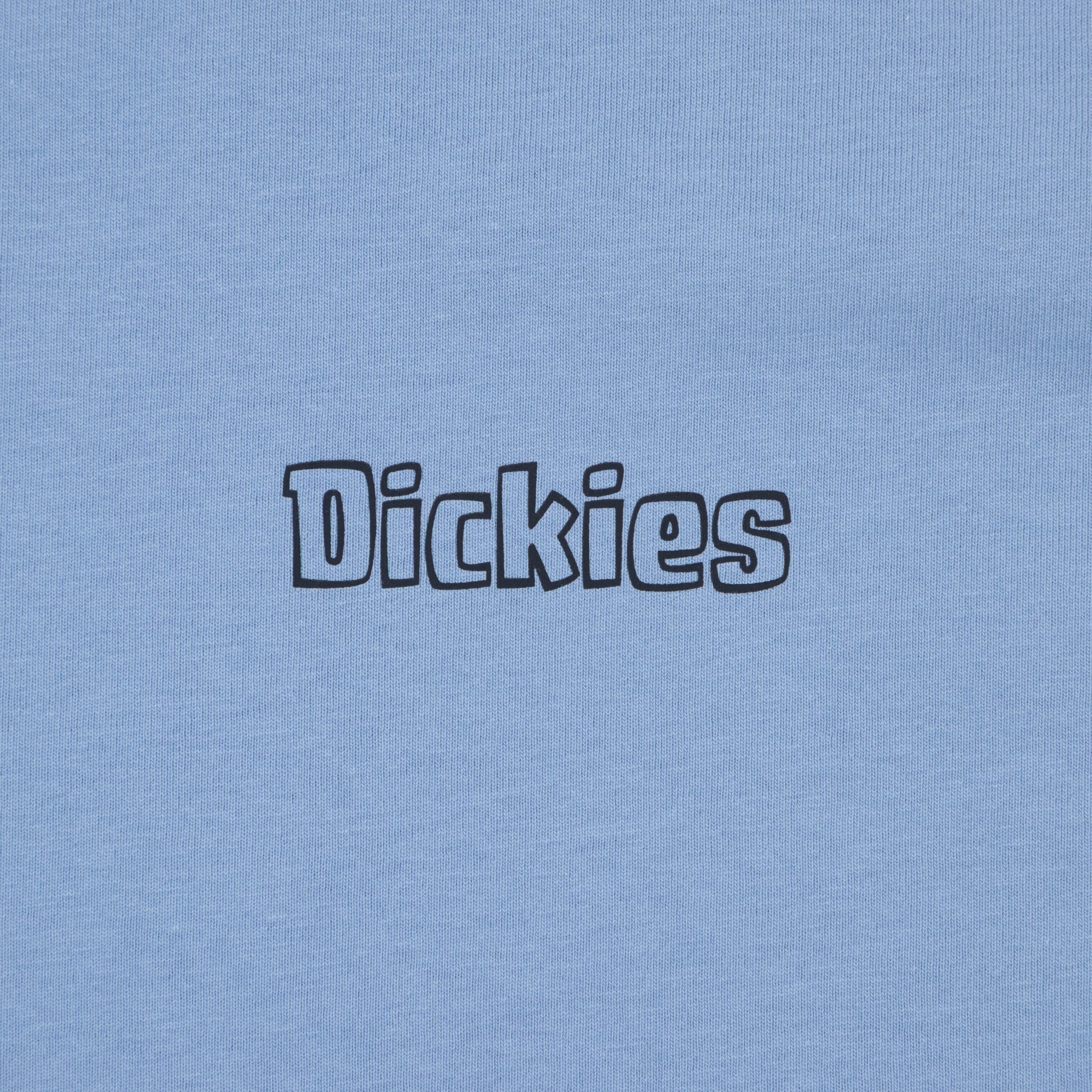 DICKIES Fairlawn Short Sleeve T-Shirt in ENDLESS SKY