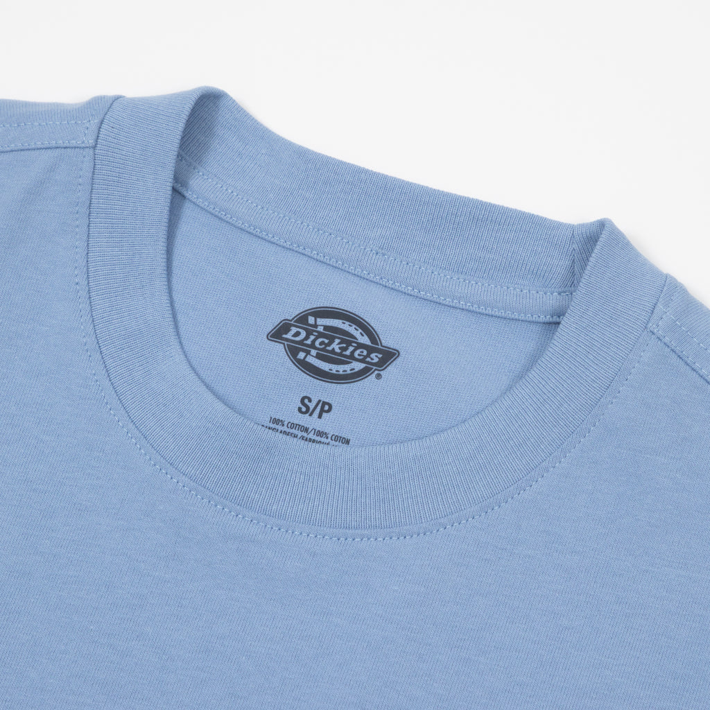 DICKIES Fairlawn Short Sleeve T-Shirt in ENDLESS SKY